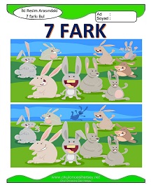 İki Resim Arasındaki Farkı Bul Etkinliği
